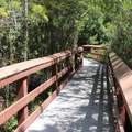 4505 Sawgrass Way - Photo 29