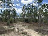 Tract#6418 Mattox Springs Road - Photo 2