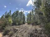 Tract#6418 Mattox Springs - Photo 3