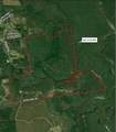 2020 Becks Lake Road - Photo 4