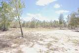 TBD Silver Lake Road - Photo 8