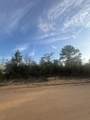 XXX Juniper Avenue - Photo 3