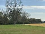 TBD Vinson Ray Road - Photo 11