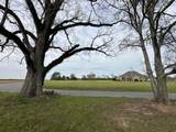 TBD Vinson Ray Road - Photo 12