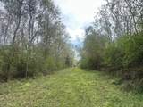 TBD Vinson Ray Road - Photo 5