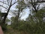 TBD Vinson Ray Road - Photo 6