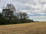 TBD Vinson Ray Road - Photo 7