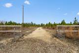 81 Acres Show Horse Way - Photo 1