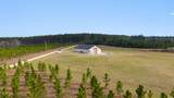81 Acres Show Horse Way - Photo 27