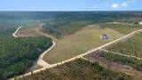 81 Acres Show Horse Way - Photo 32