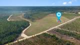 81 Acres Show Horse Way - Photo 33
