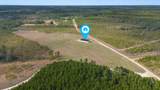 81 Acres Show Horse Way - Photo 35