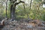 Lot 4 Woodbriar Court - Photo 18