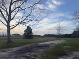 1716 Hub Presley Road - Photo 2
