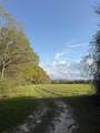 1716 Hub Presley Road - Photo 44