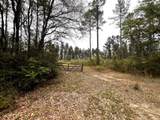 xxx Cawthon Road - Photo 4