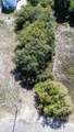 126 4th Street - Photo 12