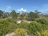 TBD Cape San Blas Road - Photo 13