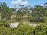 TBD Cape San Blas Road - Photo 15