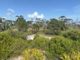 TBD Cape San Blas Road - Photo 16