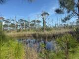 TBD Cape San Blas Road - Photo 17