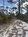 TBD Cape San Blas Road - Photo 20