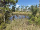 TBD Cape San Blas Road - Photo 3