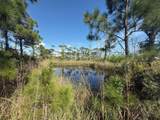 TBD Cape San Blas Road - Photo 8
