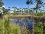 TBD Cape San Blas Road - Photo 9