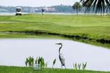 2 Sandestin Estates Drive - Photo 54
