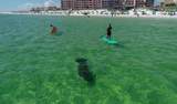 500 Gulf Shore Drive - Photo 33