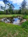 1508 Crooked Creek Road - Photo 5