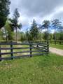 1508 Crooked Creek Road - Photo 55