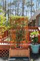 6 Davis Court - Photo 60
