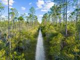 24 Lovegrass Way - Photo 50