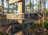 Lot 35 E Georgie Street - Photo 5
