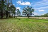 248 Bunny Lane - Photo 20