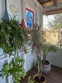 171 Dolphin Cove - Photo 141