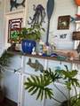 171 Dolphin Cove - Photo 142