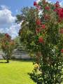 171 Dolphin Cove - Photo 149