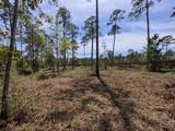0 Mcdaniels Fishcamp Road - Photo 3