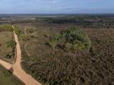 2113 TBD 526 Acres +/- - Photo 3