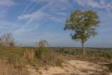 2113 TBD 526 Acres +/- - Photo 9