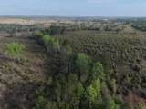 1718 TBD 198 Acres +/- - Photo 10