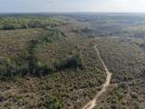 1718 TBD 198 Acres +/- - Photo 2