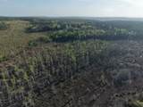 1718 TBD 198 Acres +/- - Photo 4