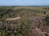 1718 TBD 198 Acres +/- - Photo 5