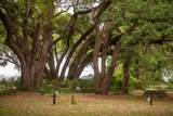 14332 Florida 20 - Photo 7