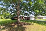 1854 Flamingo Lane - Photo 13