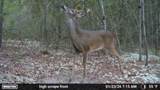 0 Laird Road - Photo 34